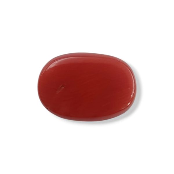 1312241 Natural Coral Moonga